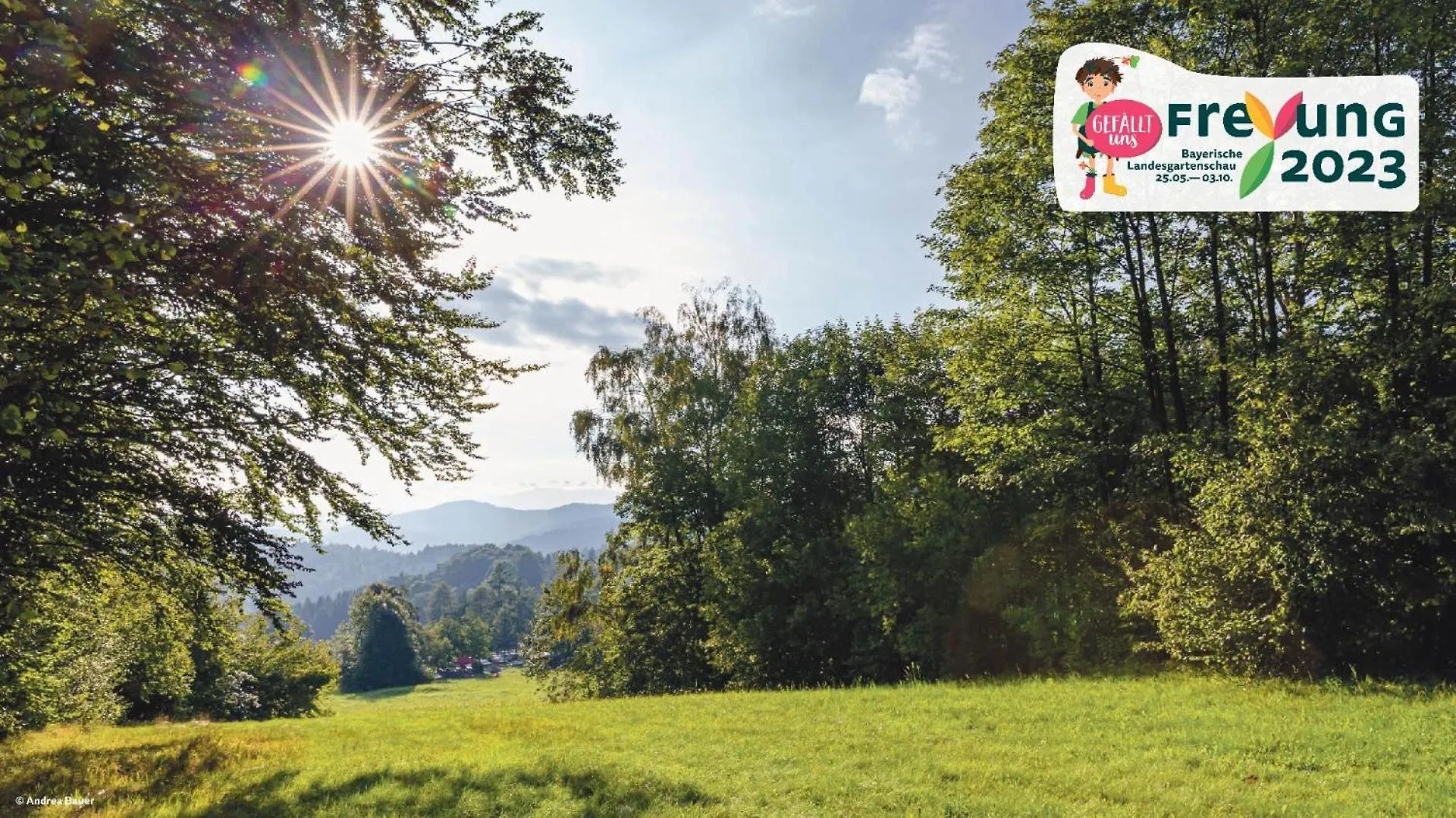 Ferienwohnungen Bayerischer Wald Mit Pool Freyung 0*,